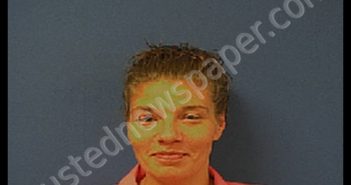 MCLAMB, MARISSA JO | 2020-02-19 08:42:00 Sampson County, North Carolina Booking