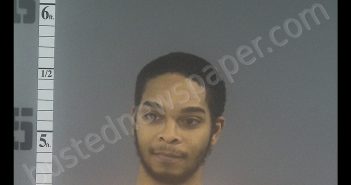 DAMONTAE LAQUAY LEE-SMITH | 2020-02-20 12:44:00 Western Tidewater, Virginia Booking