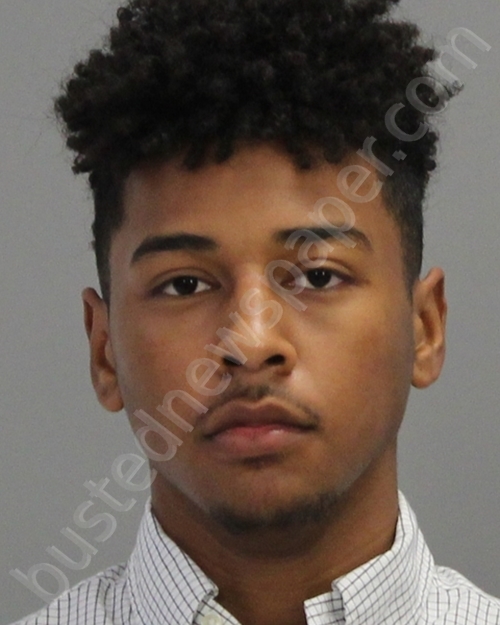 LUNA JOHNSON, JUKOREY DESHAWN #, Brazos County, Texas - 2020-02-20