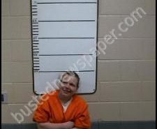 AMANDA HOUSTON | 2020-02-20 Morgan County, Tennessee Booking