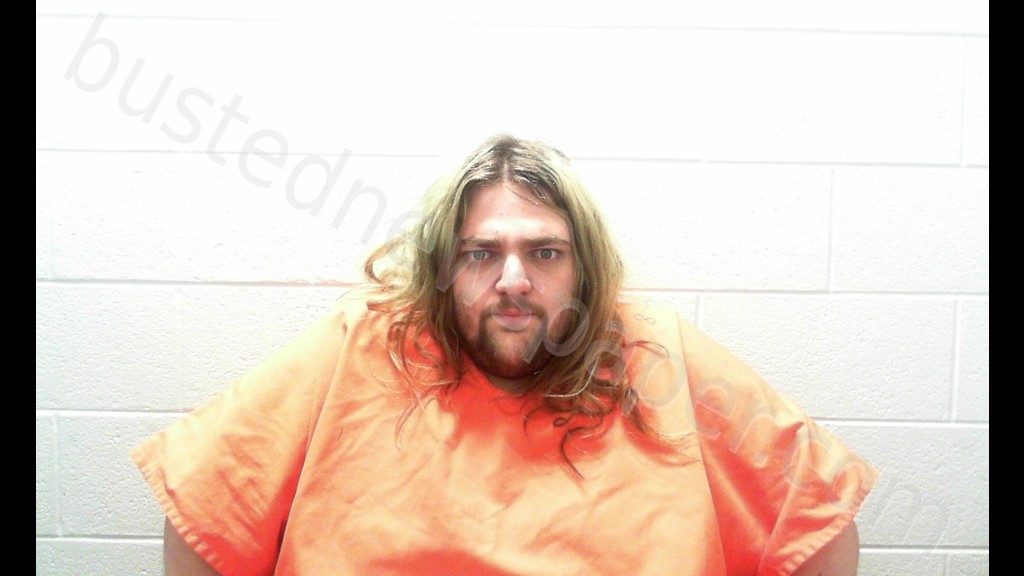 HOTT, ZACKERY RYAN #, Taylor County, West Virginia - 2020-02-20 11:00:00