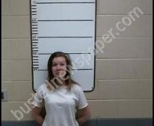 CAITLYN CAZZARIN | 2020-02-20 17:00:00 Morgan County, Tennessee Booking