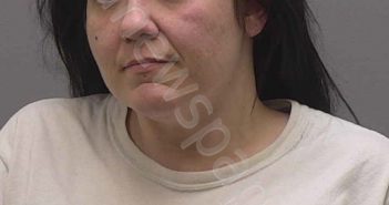 SIMMONS, JENNIFER | 2020-02-20 12:15:00 Alamance County, North Carolina Booking