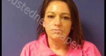 DIXON, KRISTIN ASHLEY | 2020-02-20 02:52:00 Sampson County, North Carolina Booking