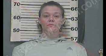 MELISSA KAY COMBS | 2020-02-21 13:30:00 Greenup County, Kentucky Booking