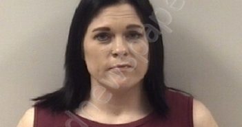 CHRISTINA HOPE LONG | 2020-02-21 Johnston County, North Carolina Booking