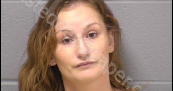 HENDRY, EMILY L | 2020-02-22 04:35:00 Will County, Illinois Booking