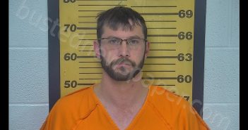 ADAM C PALMER | 2020-02-22 16:52:00 Ottawa County, Ohio Booking