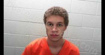 HALL, DANTE <B>XAVIER</B> #, Taylor County, West Virginia - 2020-02-22 12:50:00