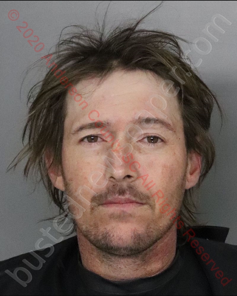 DARRAL JOE REVIS #, Anderson County, South Carolina - 2020-02-22 22:56:00