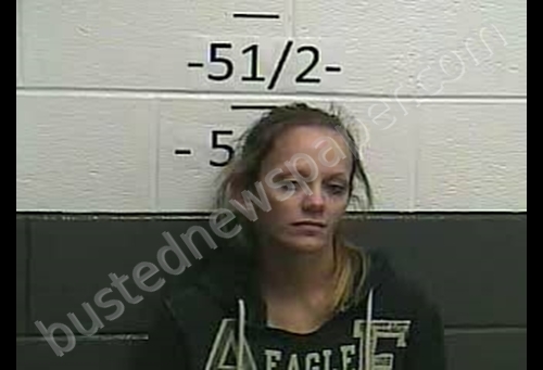 LACI JEAN GARDENER-CANADA #, Whitley County, Kentucky - 2020-02-23 20:50:00