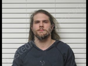 ALEXANDER THOMAS HARRIS | 2020-02-23 02:08:00 Christian County, Missouri Booking