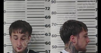 <B>JOHNSON</B>, <B>WILLIAM</B> SLADE #, Henderson County, Texas - 2020-02-24