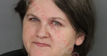 TONI ALICIA WALLING | 2020-02-24 22:33:00 Anderson County, South Carolina Booking
