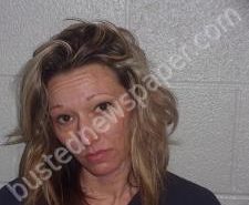 STEPHANIE FINNEY | 2020-02-24 19:10:00 Lincoln County, Tennessee Booking