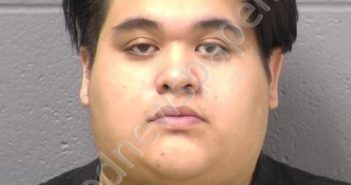 DOMINGUEZ, JOSE | 2020-02-24 19:50:00 Will County, Illinois Booking