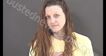 LAZARUS, LEIANNE FRANCINE | 2020-02-24 02:47:00 Roanoke County, Virginia Booking