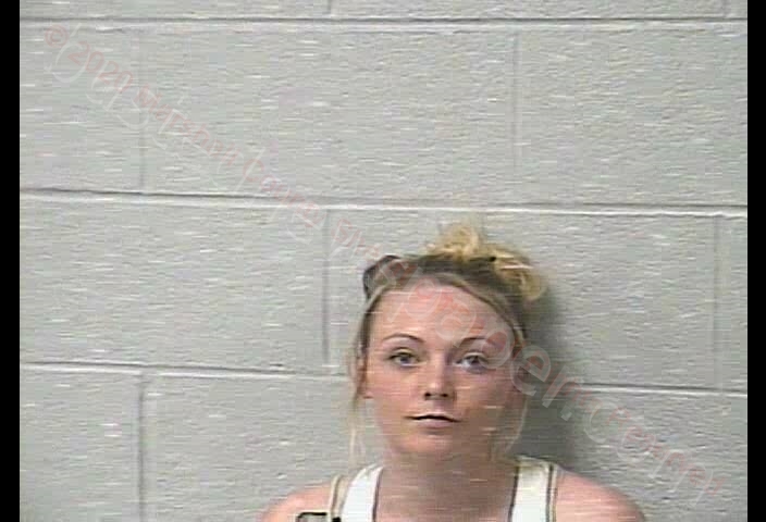 KAITLYN NICOLE POWELL #, Marshall County, Tennessee - 2020-02-24 08:40:00