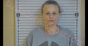 CHRISTINA A MARPLES | 2020-02-25 20:21:00 Taylor County, Kentucky Booking