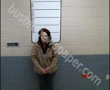 LOUANDA PRICE | 2020-02-25 18:28:00 Morgan County, Tennessee Booking