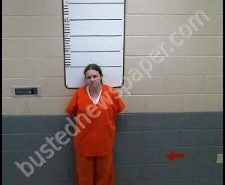 VANESSA DURFEE | 2020-02-25 00:14:00 Morgan County, Tennessee Booking