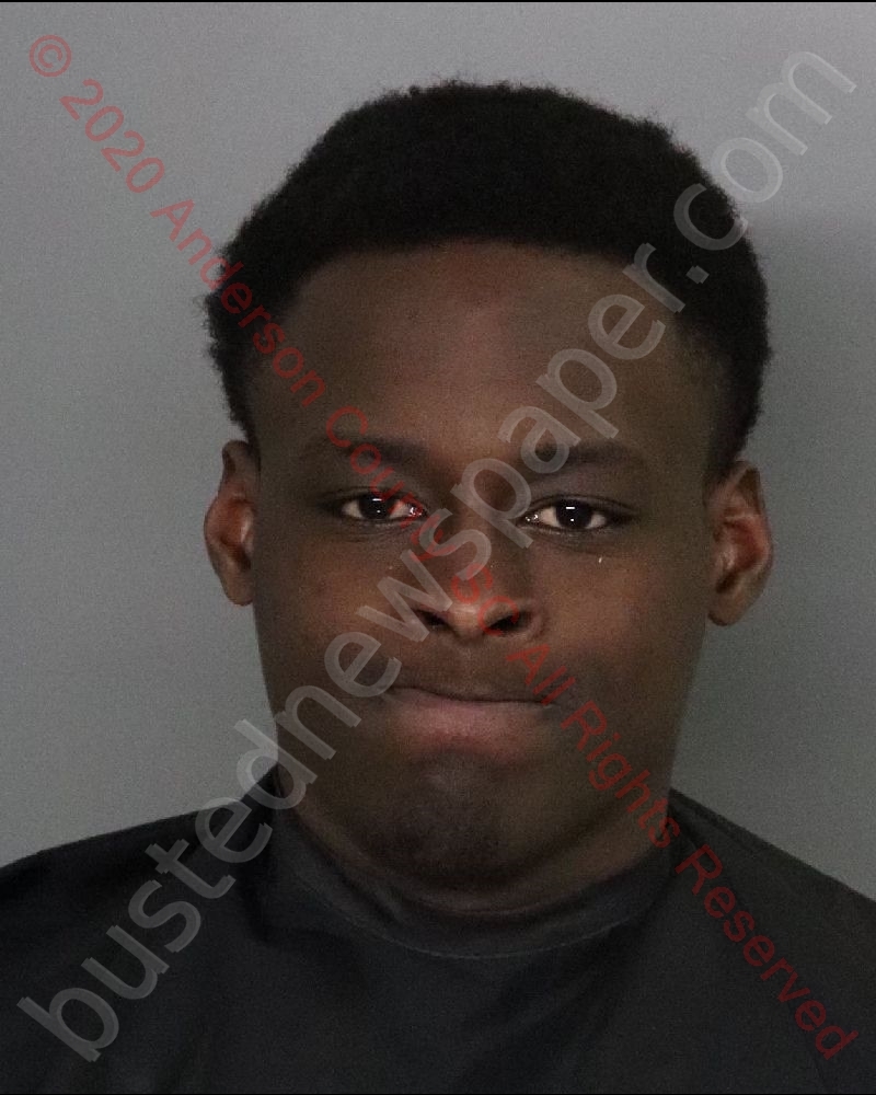 CALVIN JAMES PARKER #, Anderson County, South Carolina - 2020-02-25 18:33:00