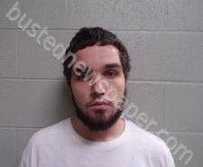 JACOB WILLIAMS | 2020-02-25 12:25:00 Lincoln County, Tennessee Booking