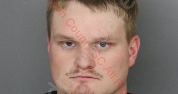 JUSTIN CHAD ALEWINE | 2020-02-25 16:51:00 Anderson County, South Carolina Booking