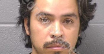 HERNANDEZ, LUIS | 2020-02-25 03:52:00 Will County, Illinois Booking