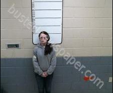 MEGAN WATTERS | 2020-02-25 17:35:00 Morgan County, Tennessee Booking