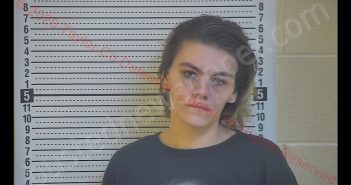 CHASSIDY M MILBURN | 2020-02-26 21:19:00 Taylor County, Kentucky Booking