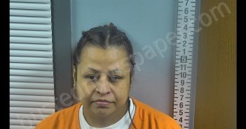 LETICIA NMI ALVARADO | 2020-02-26 12:16:00 Ottawa County, Ohio Booking