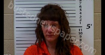 WHITENER, COURTNEY MARLANA | 2020-02-26 13:20:00 Cherokee County, North Carolina Booking