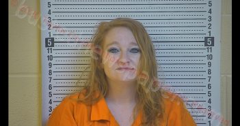 AMANDA MCCANN | 2020-02-26 12:35:00 Taylor County, Kentucky Booking