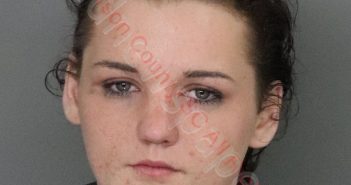ANNA MARIE ALEXANDER | 2020-02-26 14:32:00 Anderson County, South Carolina Booking