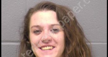 BAUMANN, SAMANTHA L | 2020-02-27 22:01:00 Will County, Illinois Booking