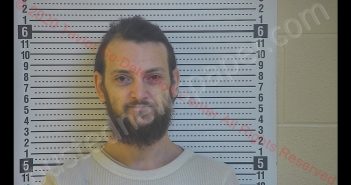 CHESTER MULLINS | 2020-02-27 14:37:00 Taylor County, Kentucky Booking