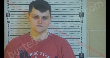 MAGAN ANN KEITH | 2020-02-27 00:15:00 Taylor County, Kentucky Booking