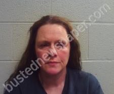 RONDA ANDERSON | 2020-02-27 23:58:00 Lincoln County, Tennessee Booking