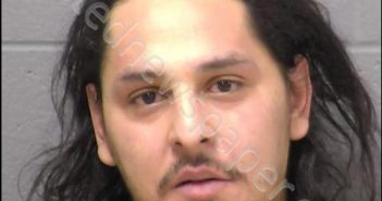 FLORES, MARTIN | 2020-02-27 04:42:00 Will County, Illinois Booking