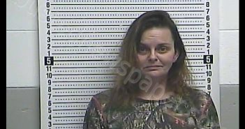 MELISSA A WILARD | 2020-02-27 11:21:00 Casey County, Kentucky Booking