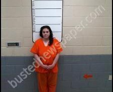 CASEY HARNESS | 2020-02-28 22:53:00 Morgan County, Tennessee Booking