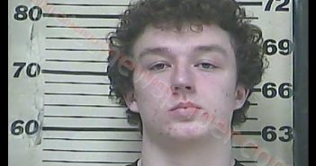 NICHOLAS GAGE OWENS | 2020-02-28 21:13:00 Greenup County, Kentucky Booking