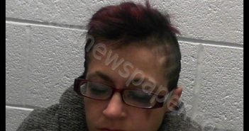 HALLER, JAMIE LYNN | 2020-02-28 03:00:00 Taylor County, West Virginia Booking