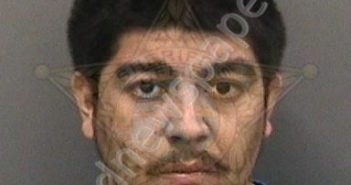 <B>HERNANDEZ</B>,<B>LISANDRO</B> #, Hillsborough County, Florida - 2020-02-28 01:19:00