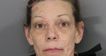 CANDICE NICOLE TAYLOR | 2020-02-28 15:11:00 Anderson County, South Carolina Booking