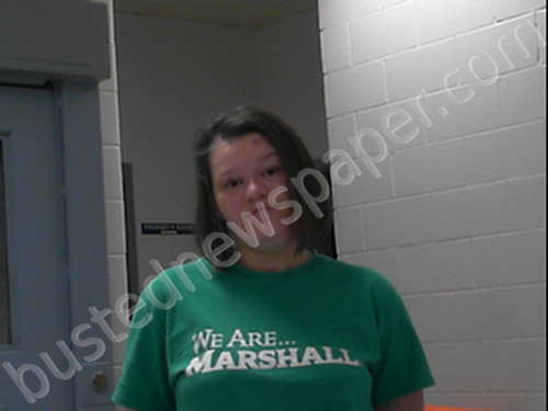 HUGHES, AMELIA #, Wayne County, West Virginia - 2020-02-28 17:10:00