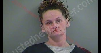 NINA CARLISLE | 2020-02-28 01:22:00 Russell County, Kentucky Booking