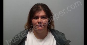 WILLIAMS, MERCEDES DAWN | 2020-02-28 15:28:00 Fayette County, Ohio Booking