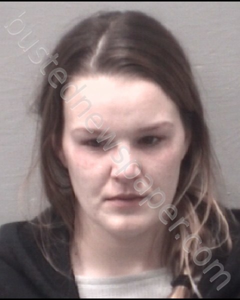 LAMBERT, HANNAH JOAN #, New Hanover County, North Carolina - 2020-02-29